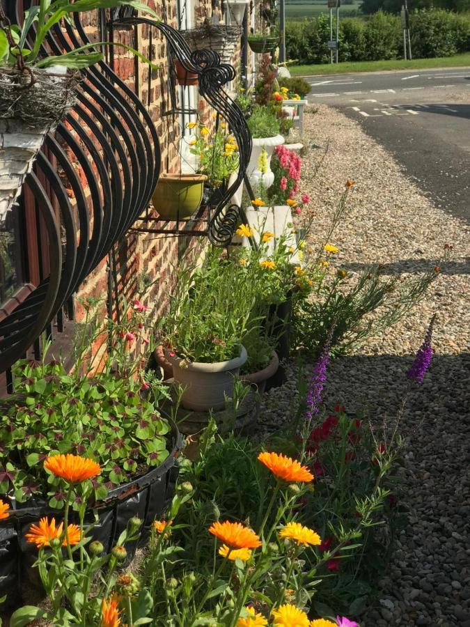Yarm Cottages Haystack Double Bed En Suite Kirklevington المظهر الخارجي الصورة